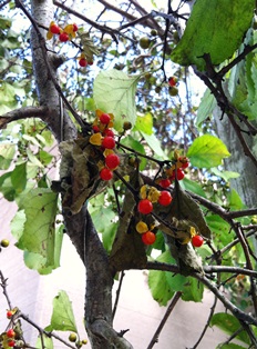 2014-10-08.jpg