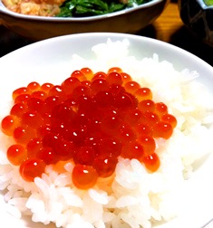 2014-09ikura.jpg