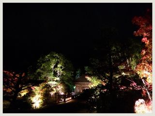 IMG_6506.JPG