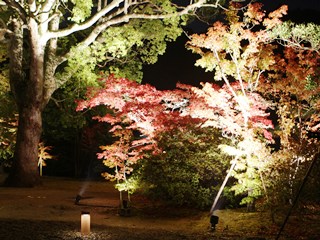 141112 shiramizu-02.jpg