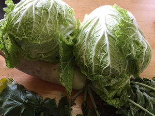 野菜.JPG