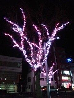 141210 taira-02.jpg