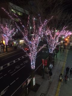 misae.jpg