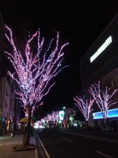141217 taira-02.jpg