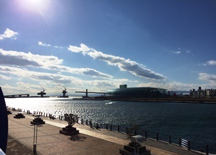 2015-01-23 onahama.jpg