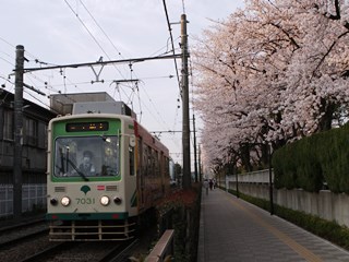 150331 toden-02.jpg