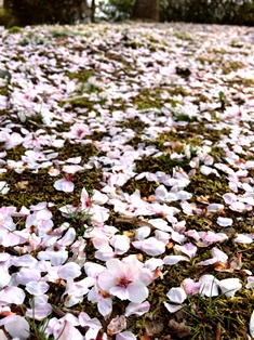 2015-04-16 15.08.27.jpg