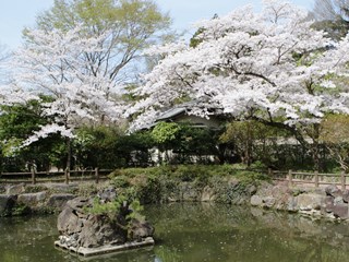 150409 matsugaoka-01.jpg
