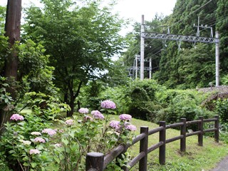 150620 daiya-01.jpg