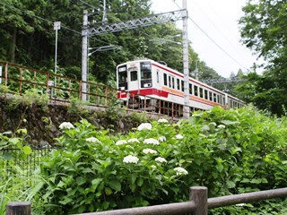 150620 daiya-03.jpg