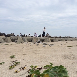 IMG_8352.jpg