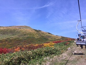 １月山.jpg