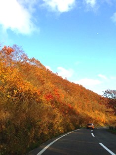2015-10-15紅葉.jpg