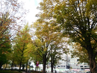 151023 utsunomiya-01.jpg
