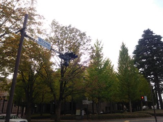 151023 utsunomiya-02.jpg