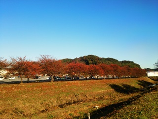 151105 kashima-01.jpg