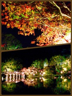 2015阿弥陀堂.jpg