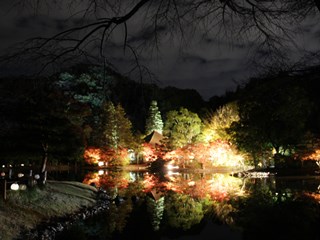 151111 shiramizu-01.jpg