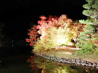 151111 shiramizu-02.jpg