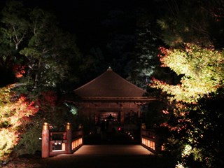151111 shiramizu-03.jpg